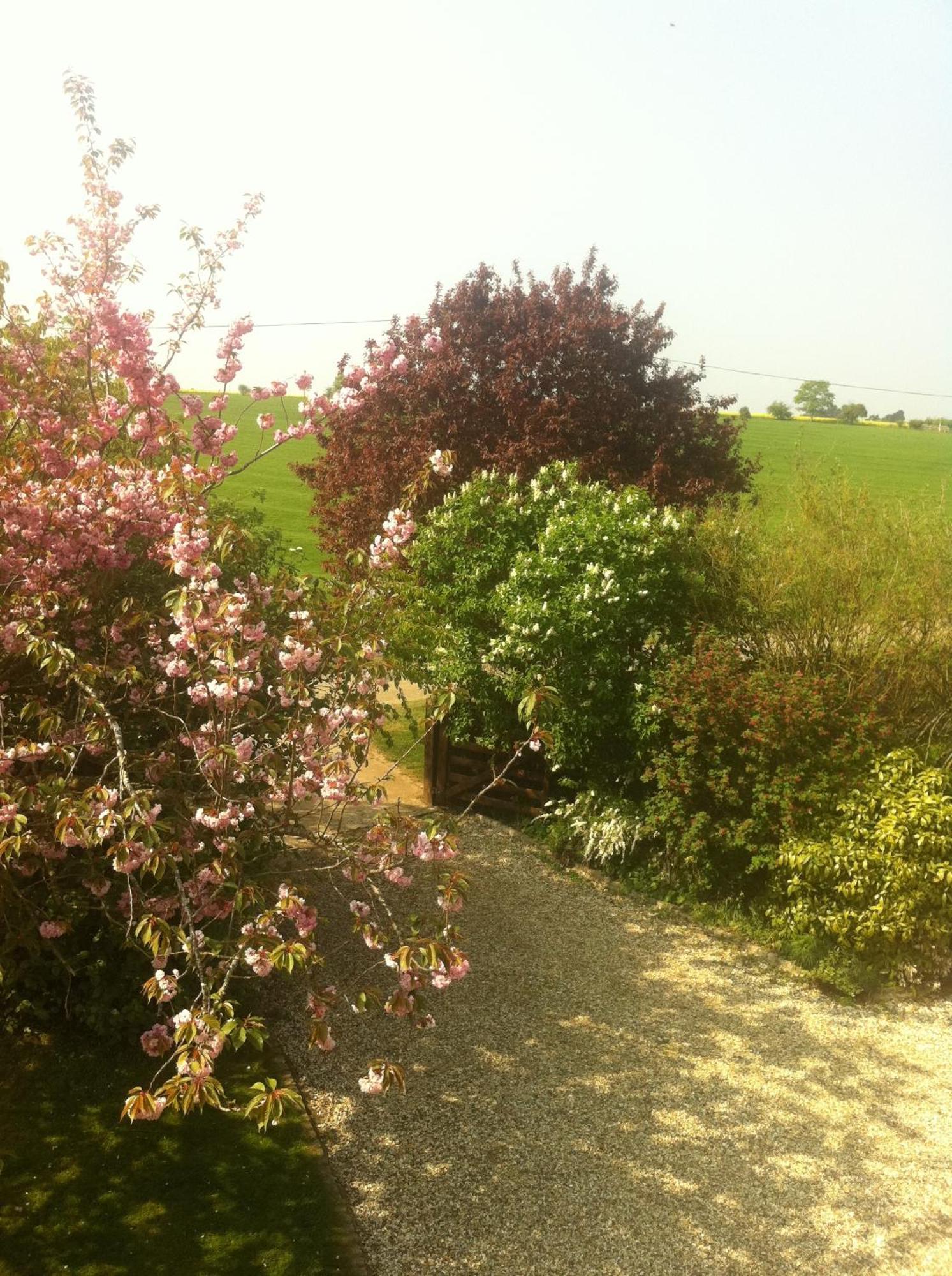 Whitchurch Farm Guesthouse Alderminster Exterior photo